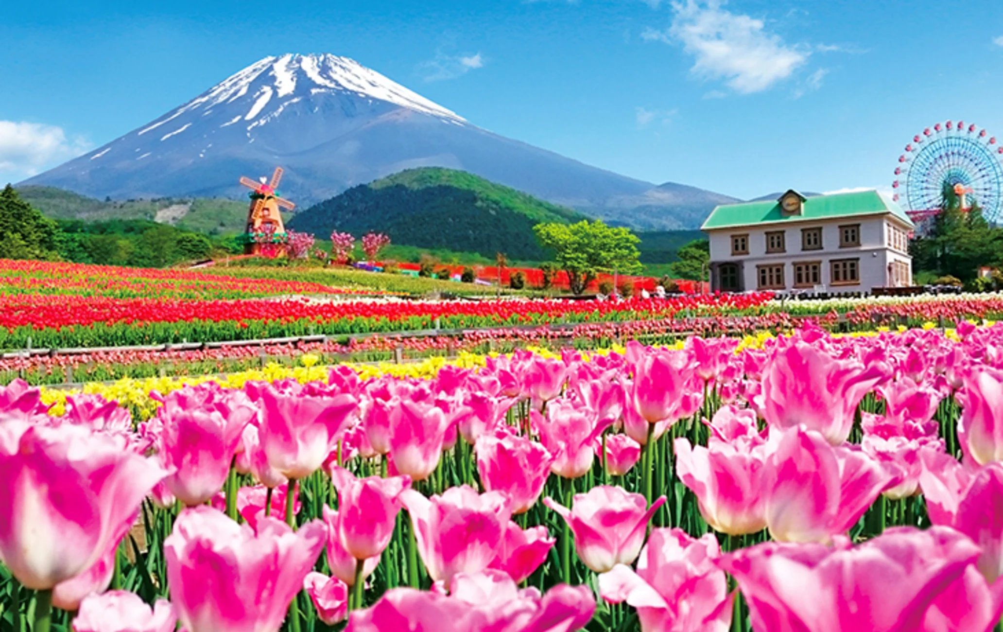 🏞️ 시즈오카 현영 요시다 공원 (시즈오카켄에이 요시다코엔) 이미지 10